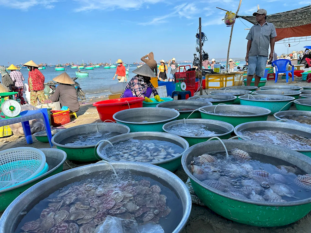 Cảnh bãi biển Làng Chài